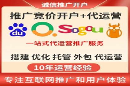 实战技巧：竞价推广案例解析与优化策略